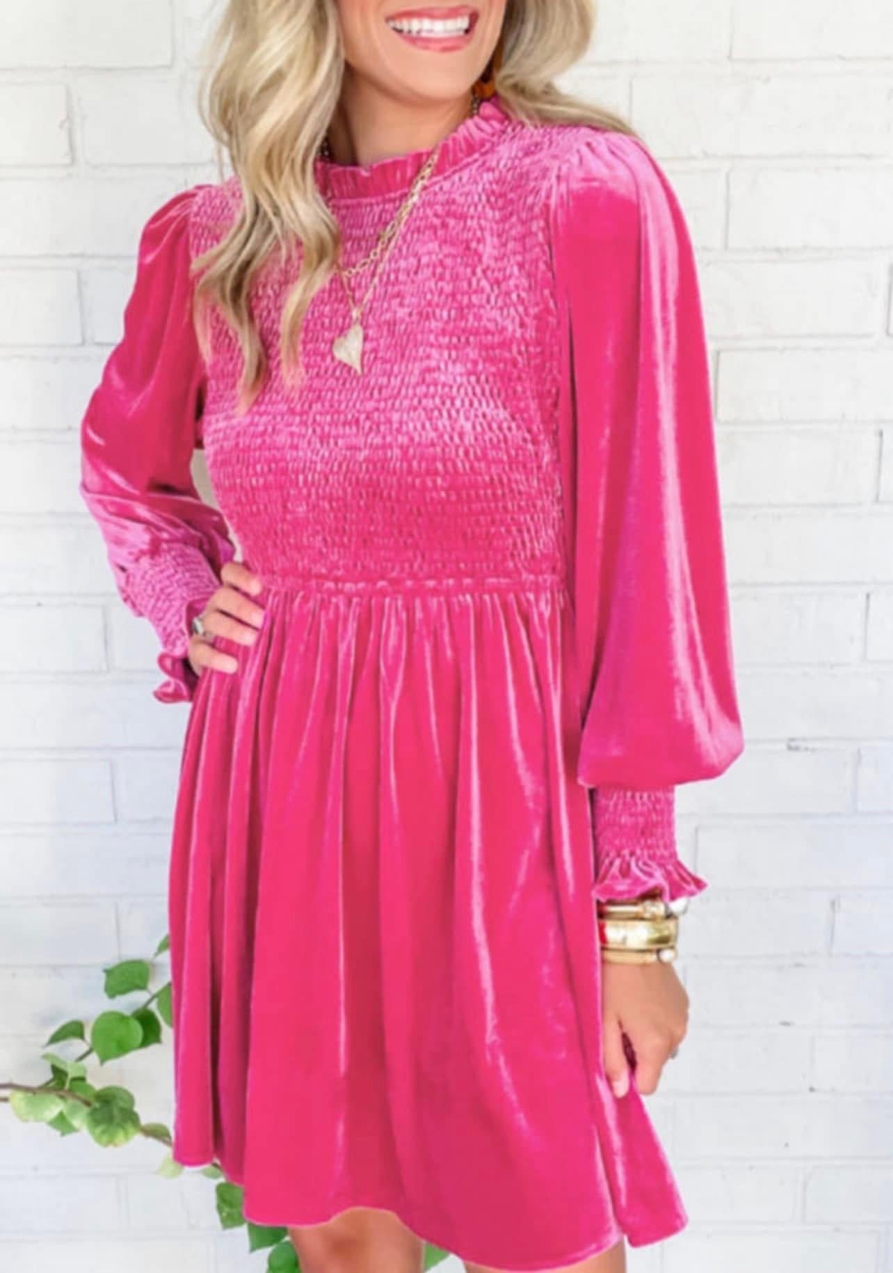 Frilled neck Smocked Bodice velvet dress